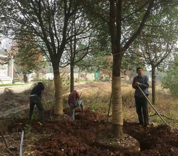 20����������