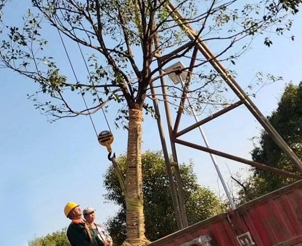 25����������