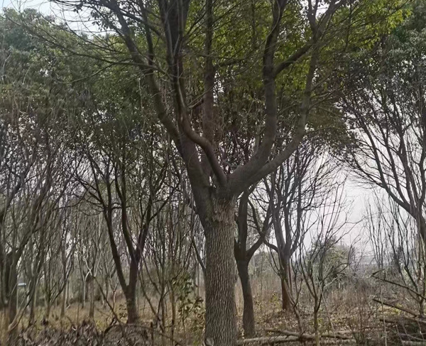 30����������