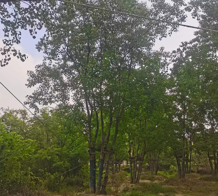 30-100���օ������