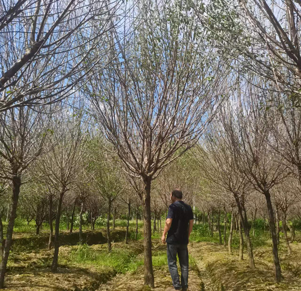 10-14���ָߗU�t÷