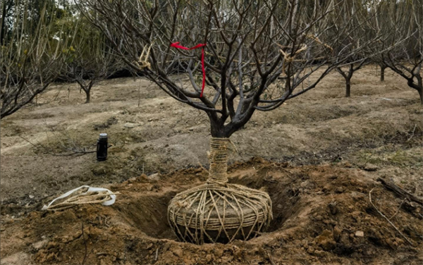 �t÷ȡ������